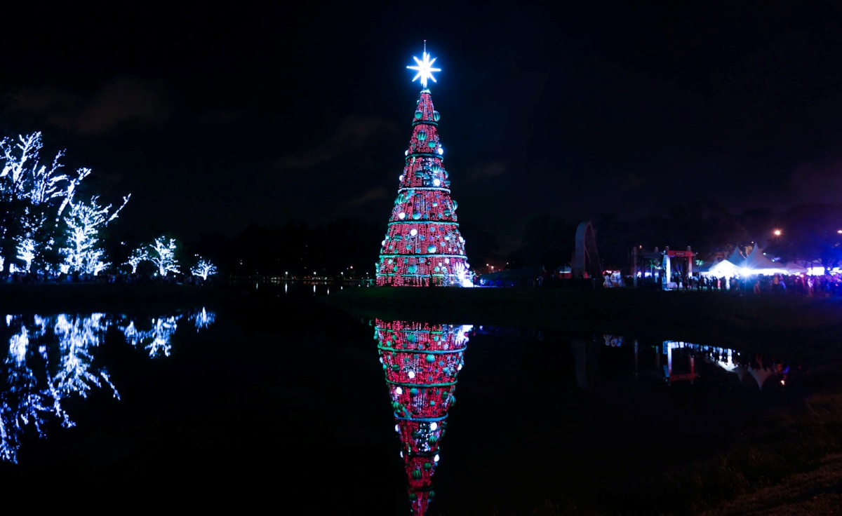 Árvore de Natal no Ibirapuera encanta as noites de São Paulo – Turismo em  foco – Tudo do turismo no Brasil e Mundo