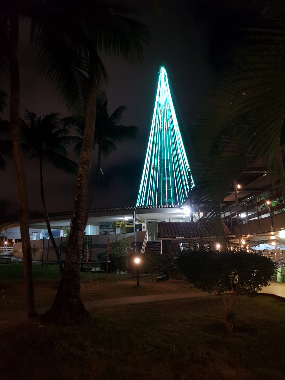 Árvore de Natal de 40 metros do Tambaú Hotel já ilumina a orla de João  Pessoa – Turismo em foco – Tudo do turismo no Brasil e Mundo